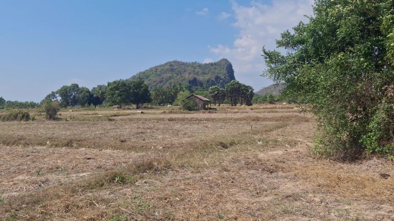 Rizières sèches près de collines calcaires à l'extérieur de Kampot avant les pluies
