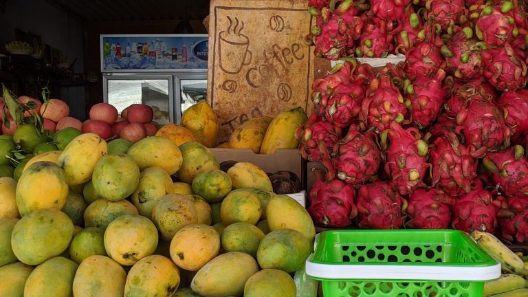 Mangues et fruits du dragon sur un étal à Kampot pendant la saison des pluies