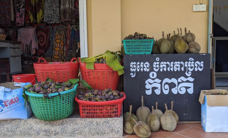 Durian and mangosteen for sale outside a shop on the Tuek Chhu road near Kampot
