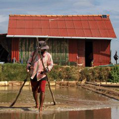 A salt farmer working the evaporation ponds near Kampot