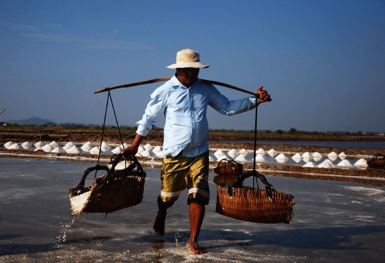 Récolte du sel dans les champs près de Kampot