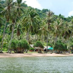 Coconut palms and beachfront shacks on Rabbit Island