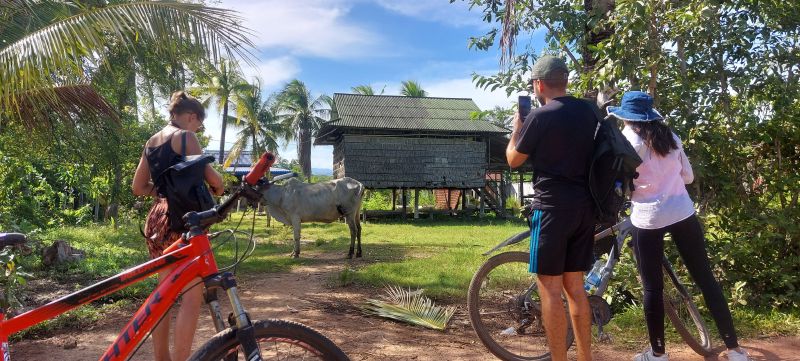 Jason's Countryside Experience